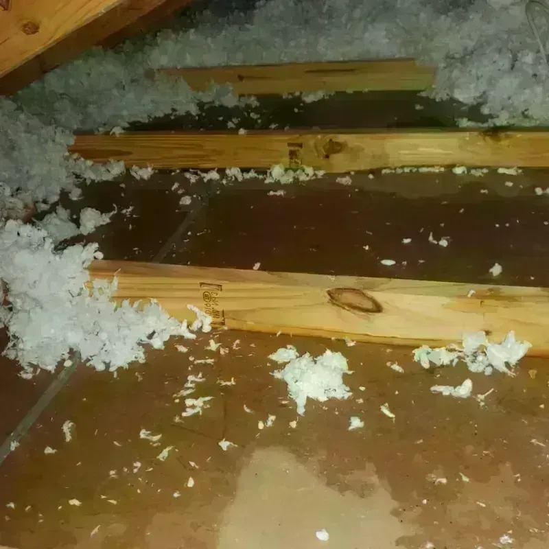 Attic Water Damage in Tarrant County, TX