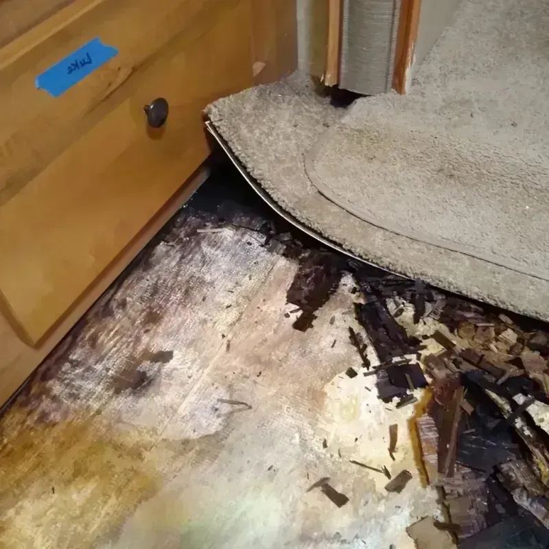 Wood Floor Water Damage in Tarrant County, TX